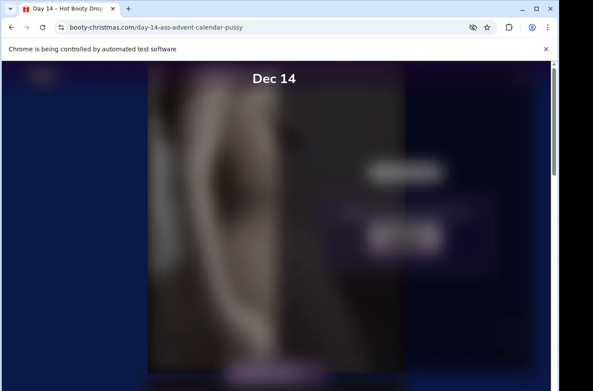 Bootychristmas Video Downloader screenshot 2