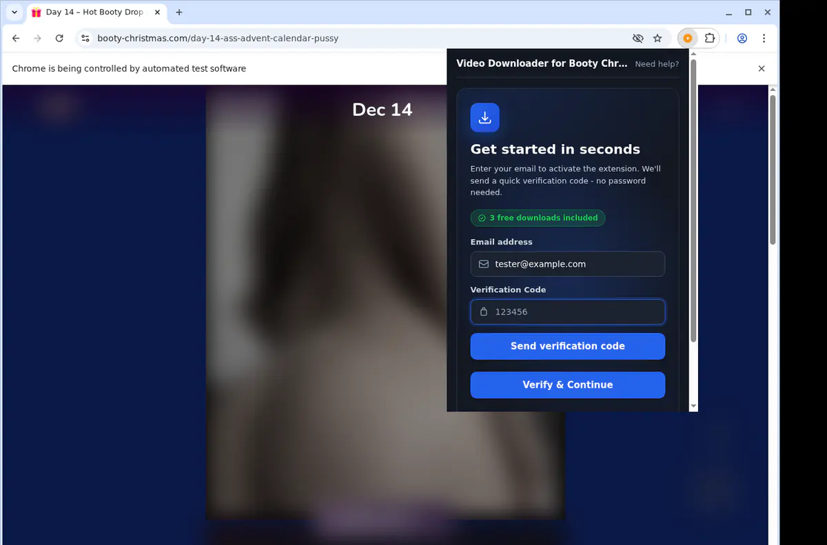 Bootychristmas Video Downloader screenshot 4