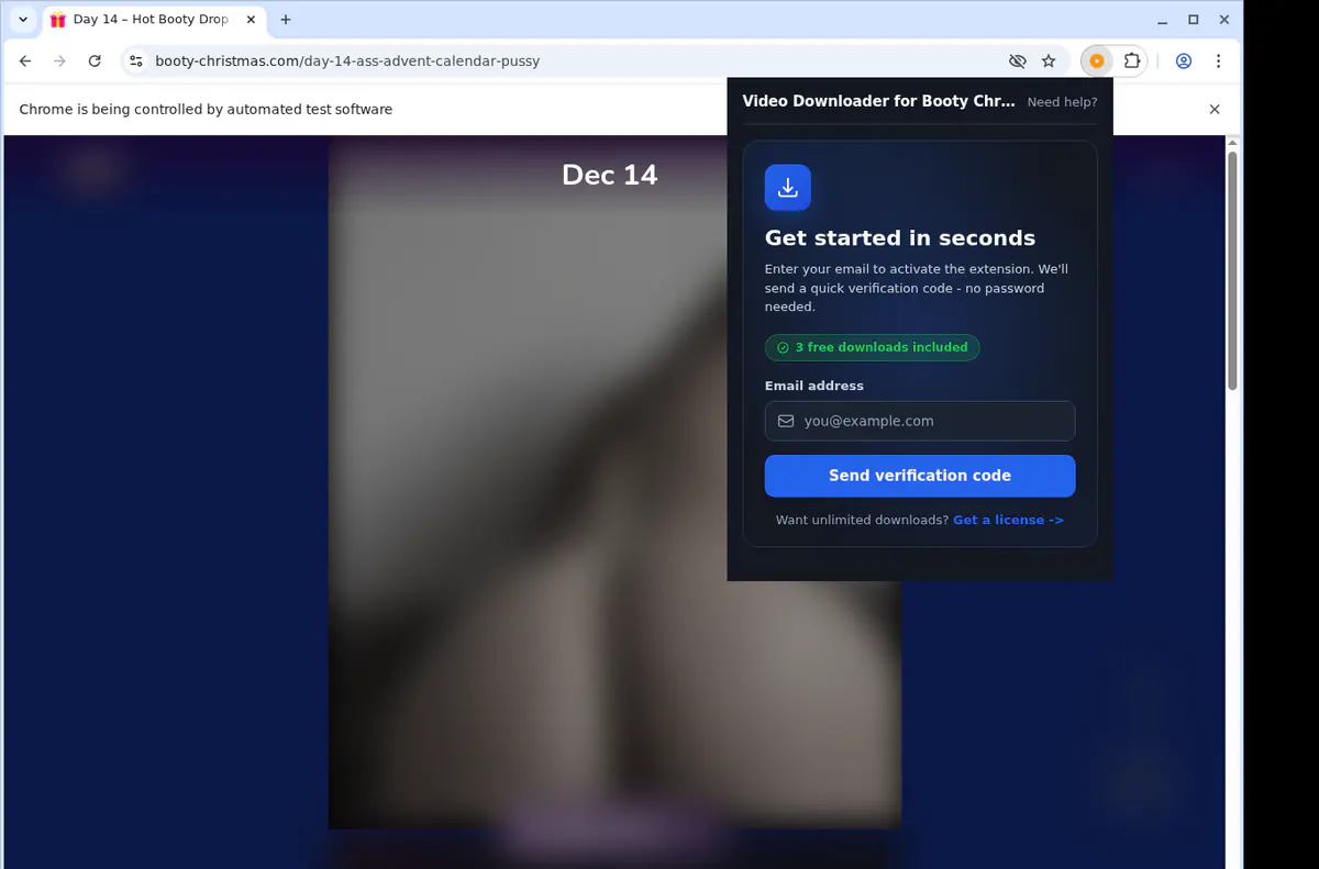 Bootychristmas Video Downloader screenshot 5